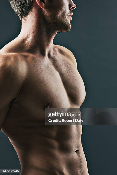 nahaufnahme von mann muskeln - chest torso stock-fotos und bilder