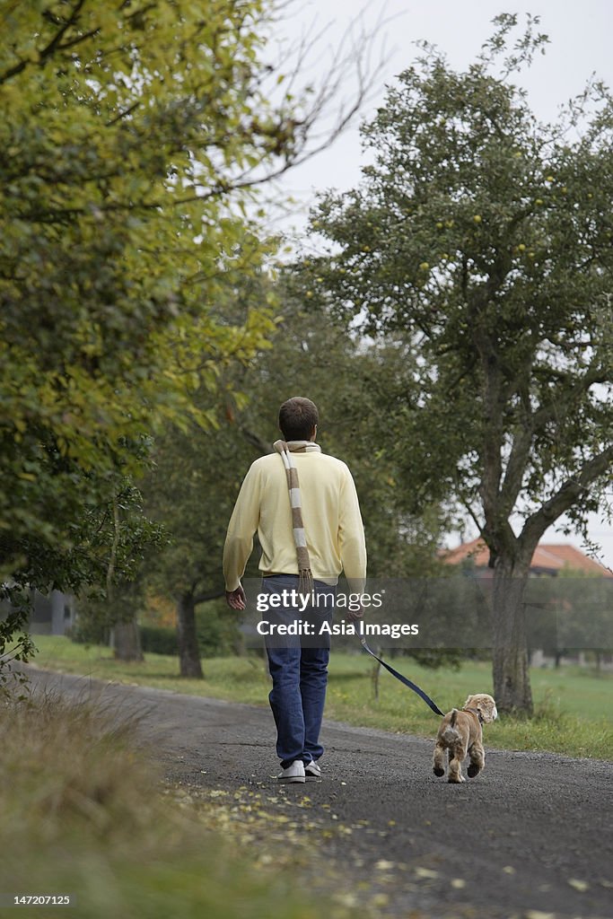 Young man walking dog