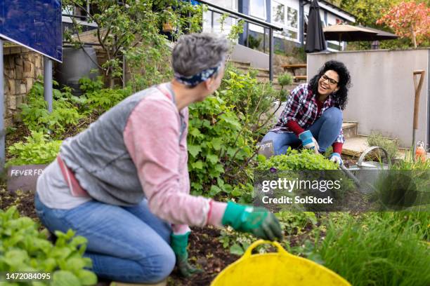 hilfe beim sortieren des gartens - urban gardening stock-fotos und bilder