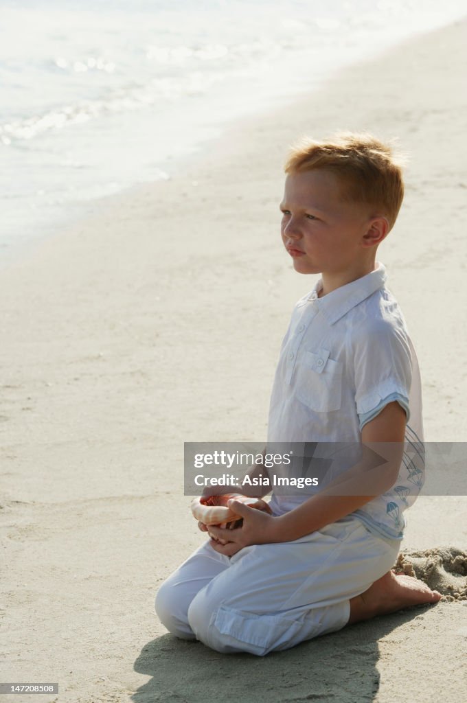Boy And Shells Boy With Seashell High-Res Stock Photo - Getty Images