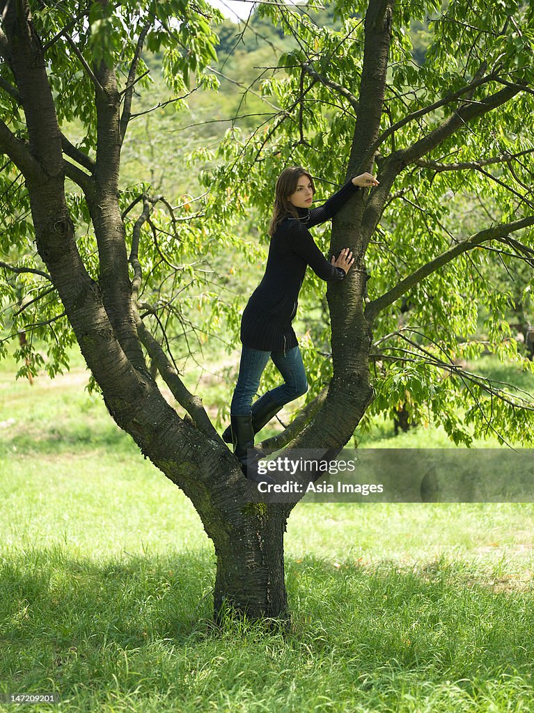 Young woman standing in tree