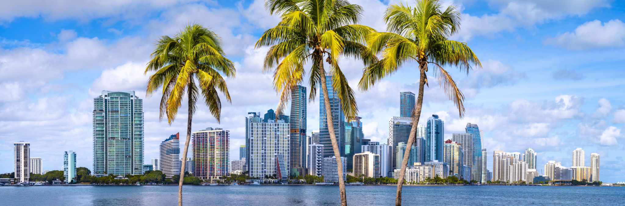 miami business success
