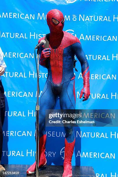Spider-Man delivers a Chilean Rose Tarantula to the American Museum of Natural History on June 27, 2012 in New York City.