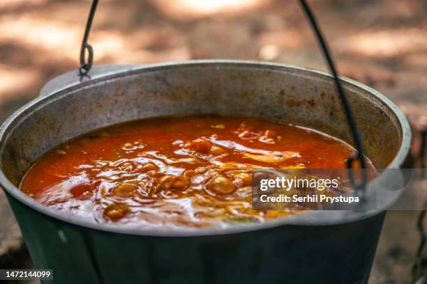 the cauldron hangs over the fire. - cauldron stock pictures, royalty-free photos & images