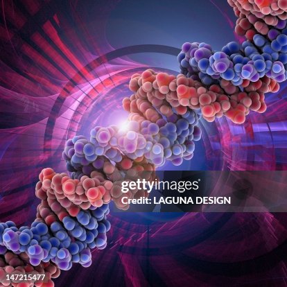 DNA molecule, artwork DNA molecule, artwork