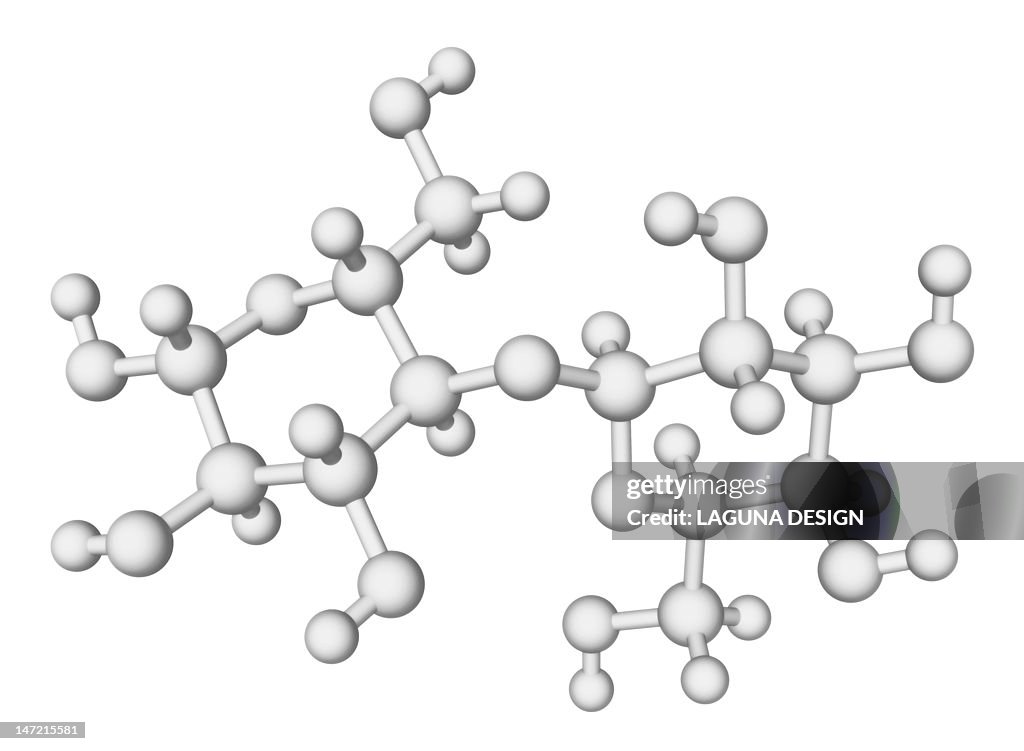 Lactose enzyme molecule