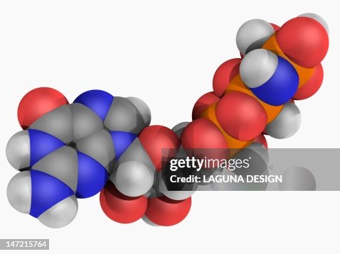 Guanylil imidodiphosphate molecule Guanylil imidodiphosphate molecule