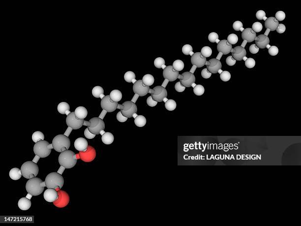 poison ivy poison molecule - poison ivy stock illustrations