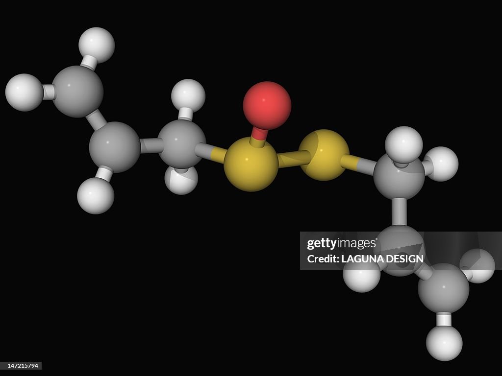 Allicin Color Allicin Molecule High-Res Vector Graphic - Getty Images