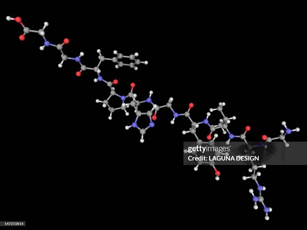 Angiotensin hormone molecule