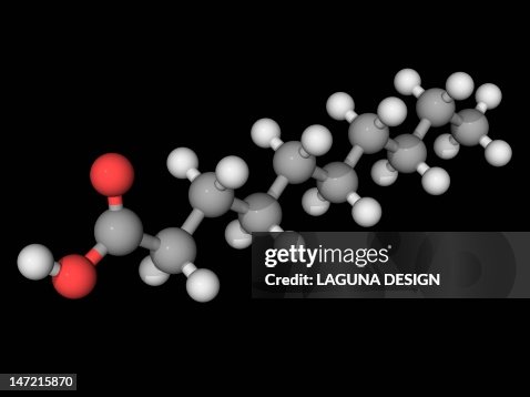 Capric acid molecule Capric acid molecule