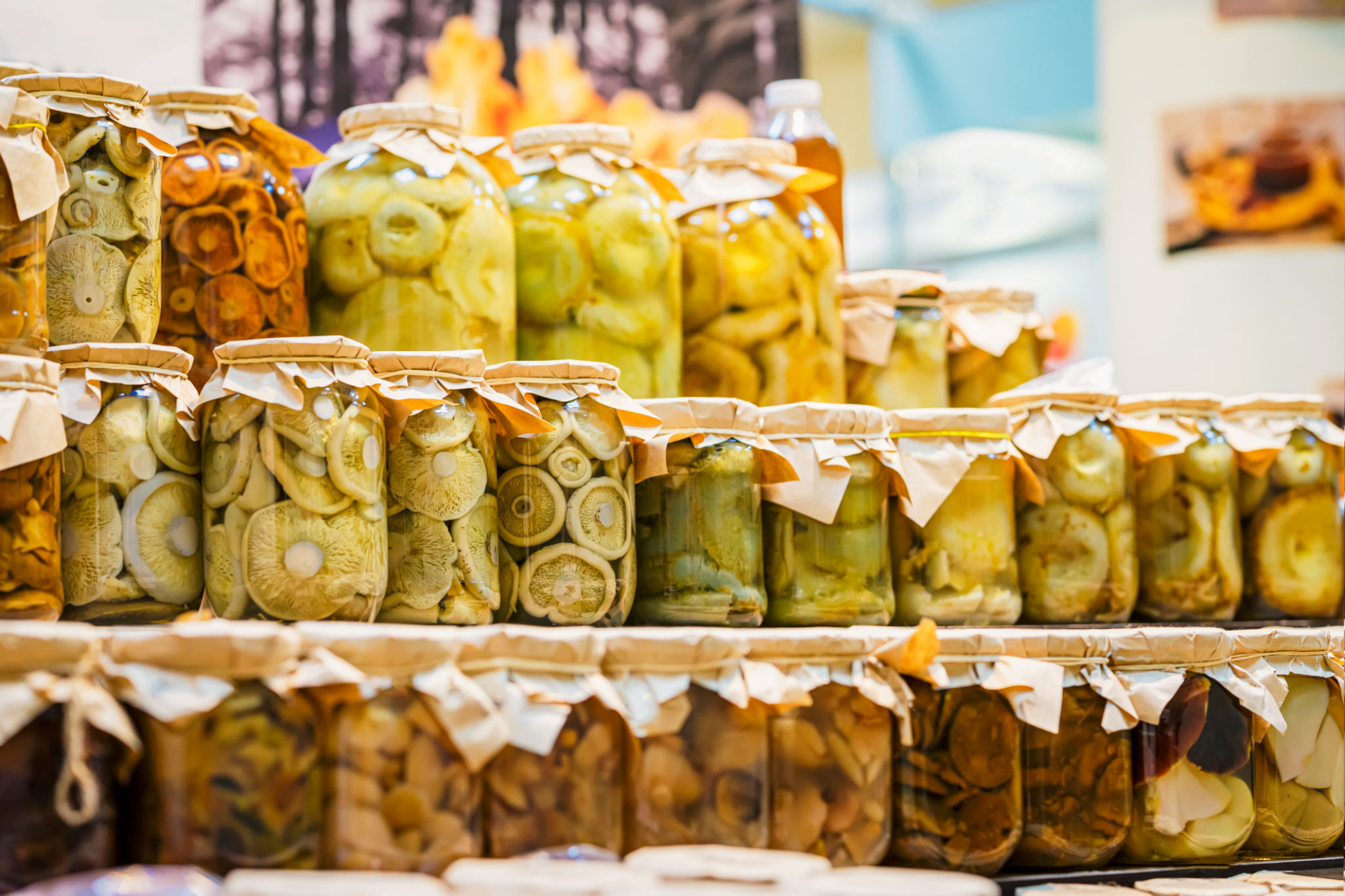 vegan festival