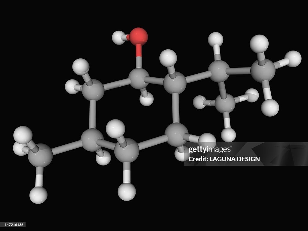 Menthol molecule