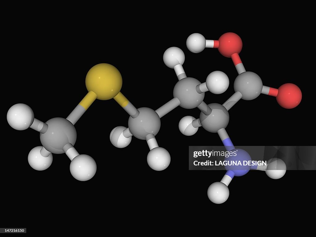 Methionine molecule
