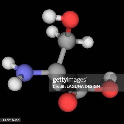 Serine molecule Serine molecule