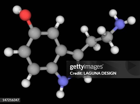 Serotonin molecule Serotonin molecule