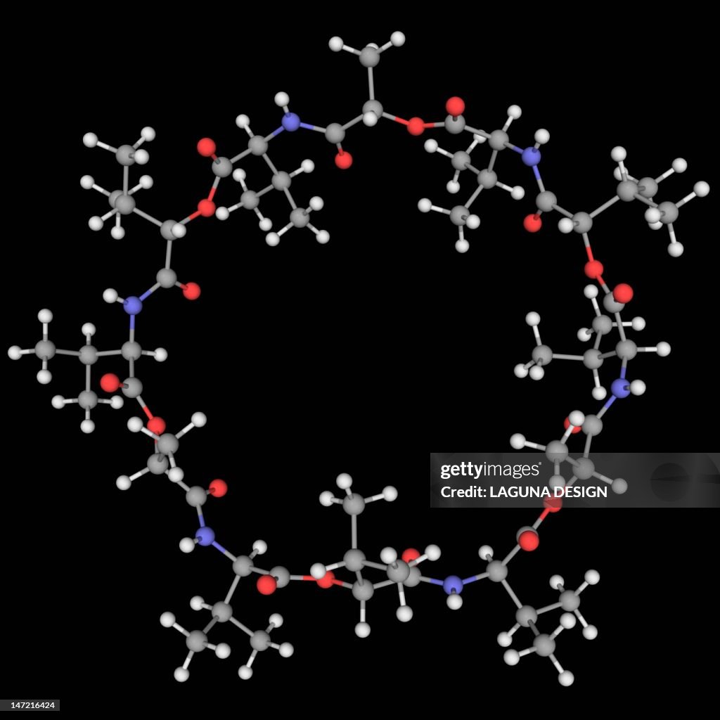 Valinomycin molecule