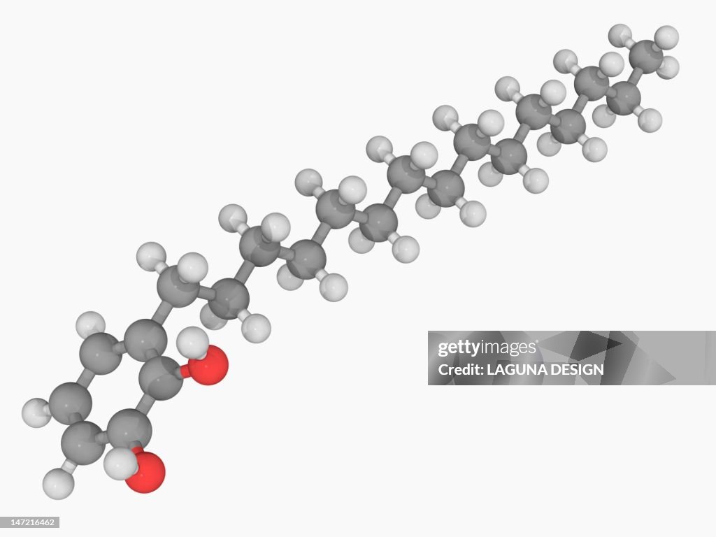 Poison ivy poison molecule