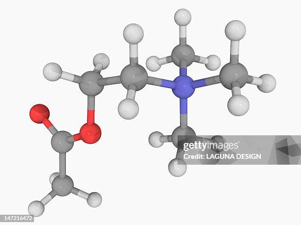 acetylcholine molecule - acetylcholine stock illustrations