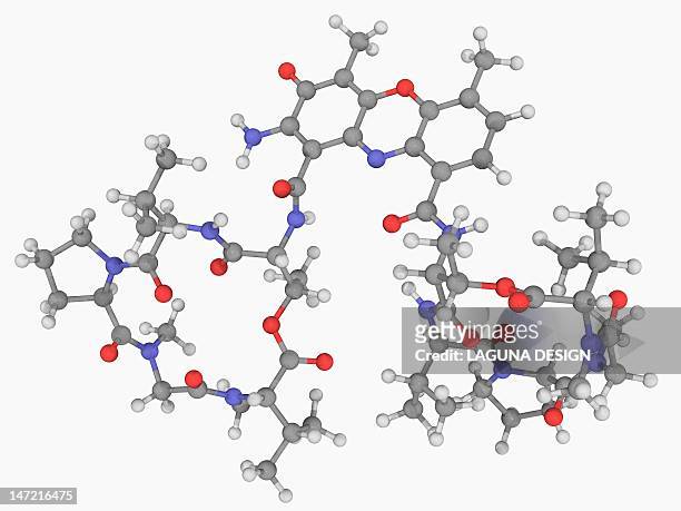 ilustrações de stock, clip art, desenhos animados e ícones de actinomycin d drug molecule - peptídeo