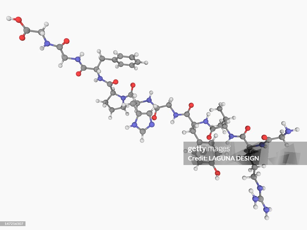 Angiotensin hormone molecule