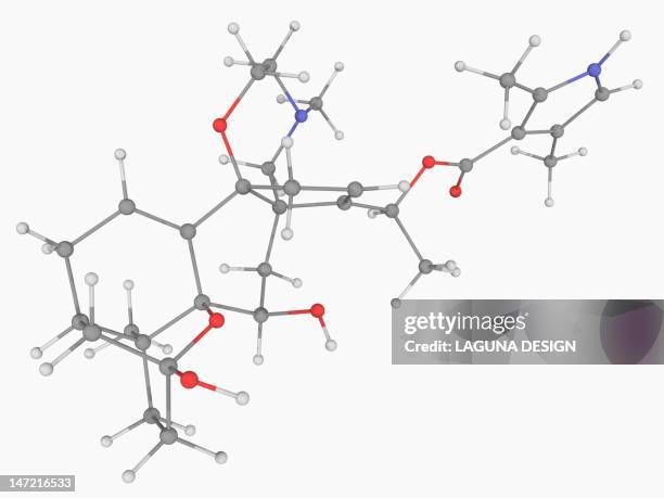 batrachotoxin poison molecule - poison dart frog stock illustrations