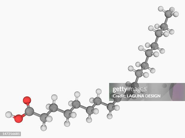 elaidic acid molecule - fatty acid stock-grafiken, -clipart, -cartoons und -symbole