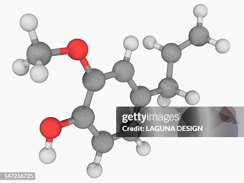 Eugenol molecule Eugenol molecule