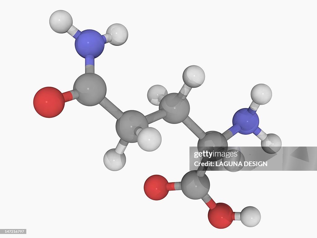 Glutamine molecule