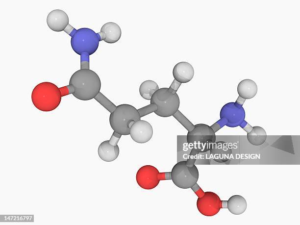 ilustrações de stock, clip art, desenhos animados e ícones de glutamine molecule - glutamina