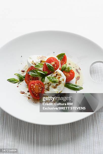 plate of caprese salad - caprese stock-fotos und bilder