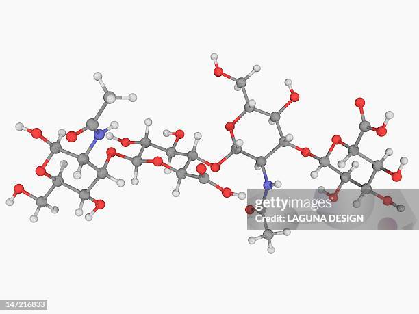 hyaluronic acid molecule - knorpel stock-grafiken, -clipart, -cartoons und -symbole