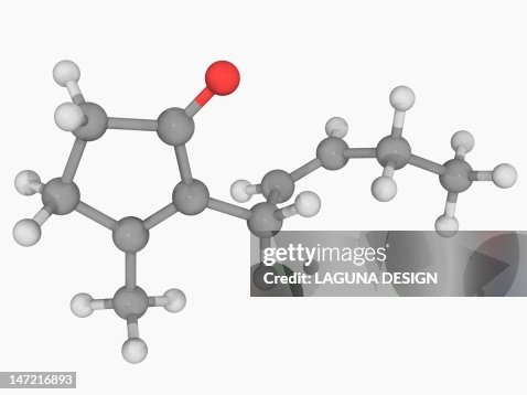Jasmone molecule Jasmone molecule