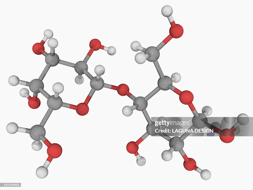 Lactose molecule