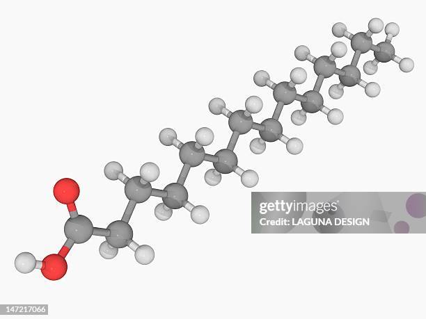 ilustrações, clipart, desenhos animados e ícones de myristic acid molecule - fatty acid