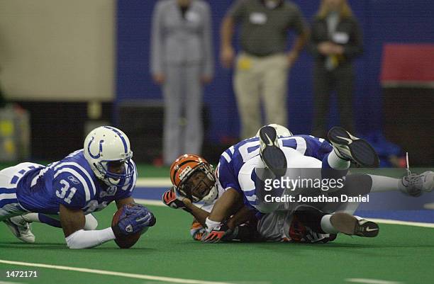 As linebacker David Thornton of the Indianapolis Colts lands on him, receiver Peter Warrick of the Cincinnatti Bengals watches as his fumbled punt...