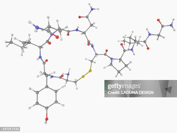 oxytocin hormone molecule - oxytocin stock illustrations