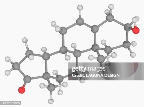 Prasterone hormone molecule Prasterone hormone molecule