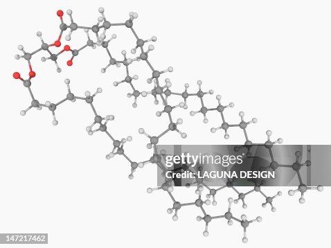 Triglyceride molecule Triglyceride molecule