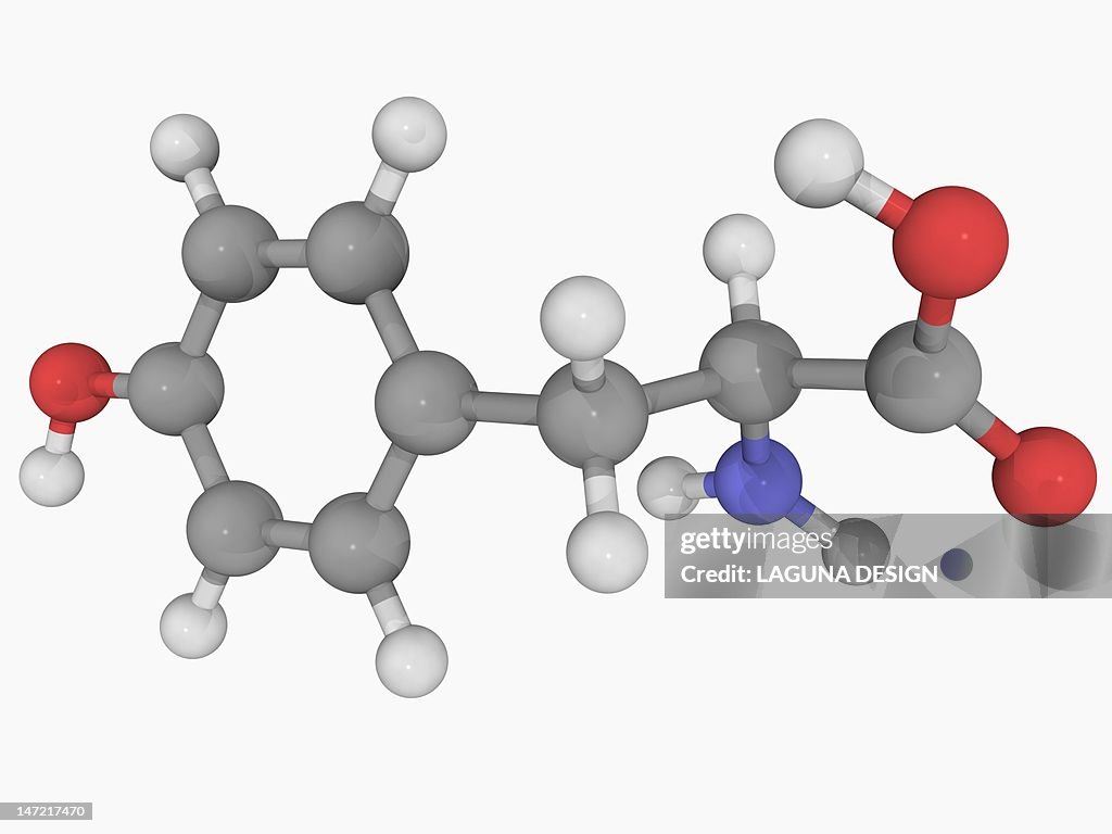 Tyrosine molecule