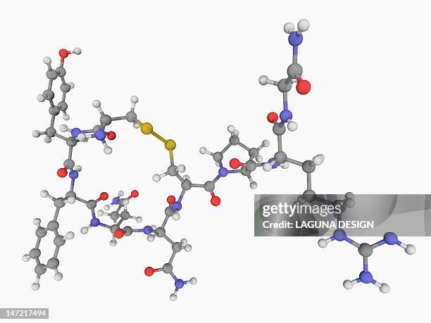 vasopressin hormone molecule - hormones stock illustrations