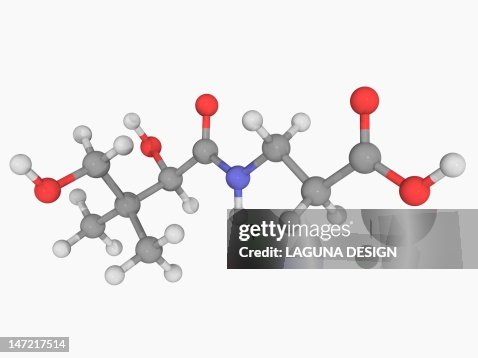 Vitamin B5 (pantothenic acid) molecule Vitamin B5 (pantothenic acid) molecule