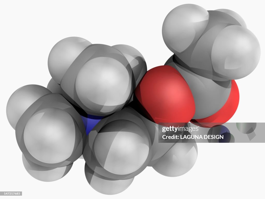 Acetylcholine molecule