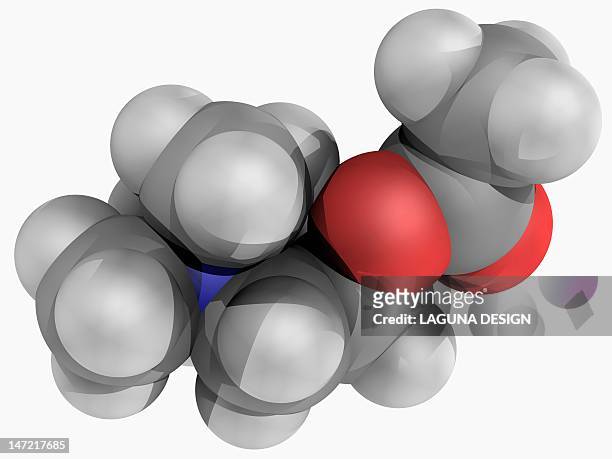 acetylcholine molecule - acetylcholine stock illustrations