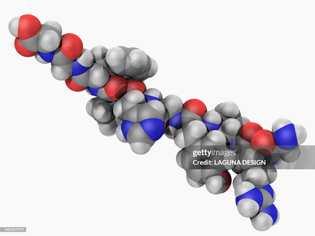 Angiotensin hormone molecule