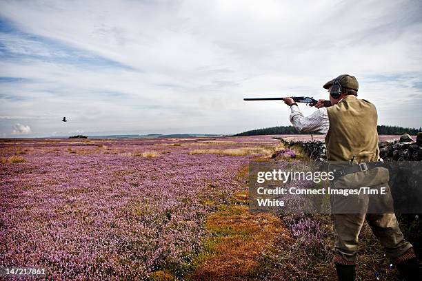 man shooting birds in field of flowers - grouse stock pictures, royalty-free photos & images