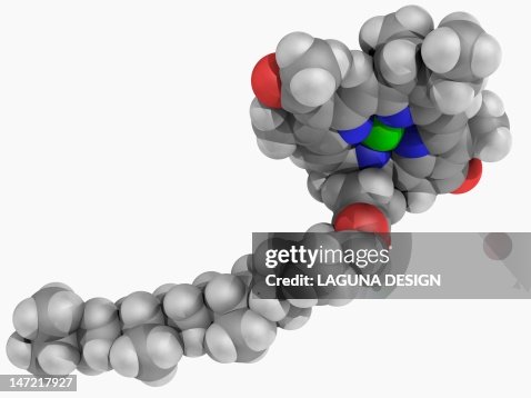 Chlorophyll B molecule Chlorophyll B molecule