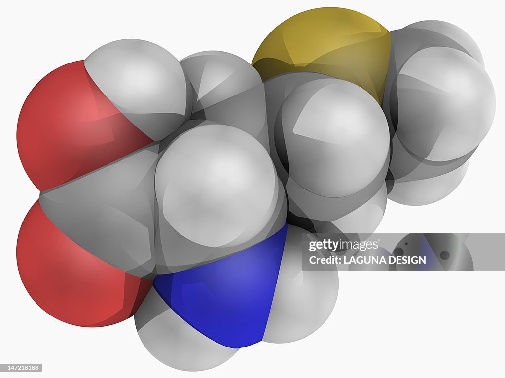 Methionine molecule