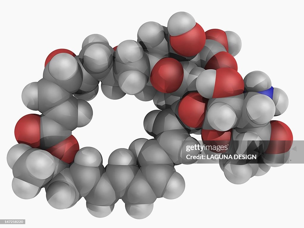 Natamycin molecule