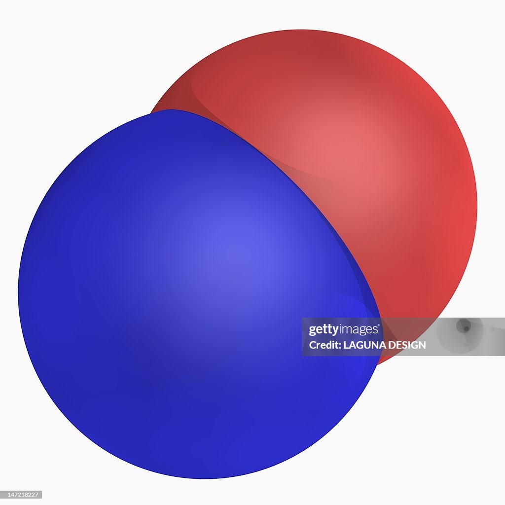 Nitrogen monoxide molecule
